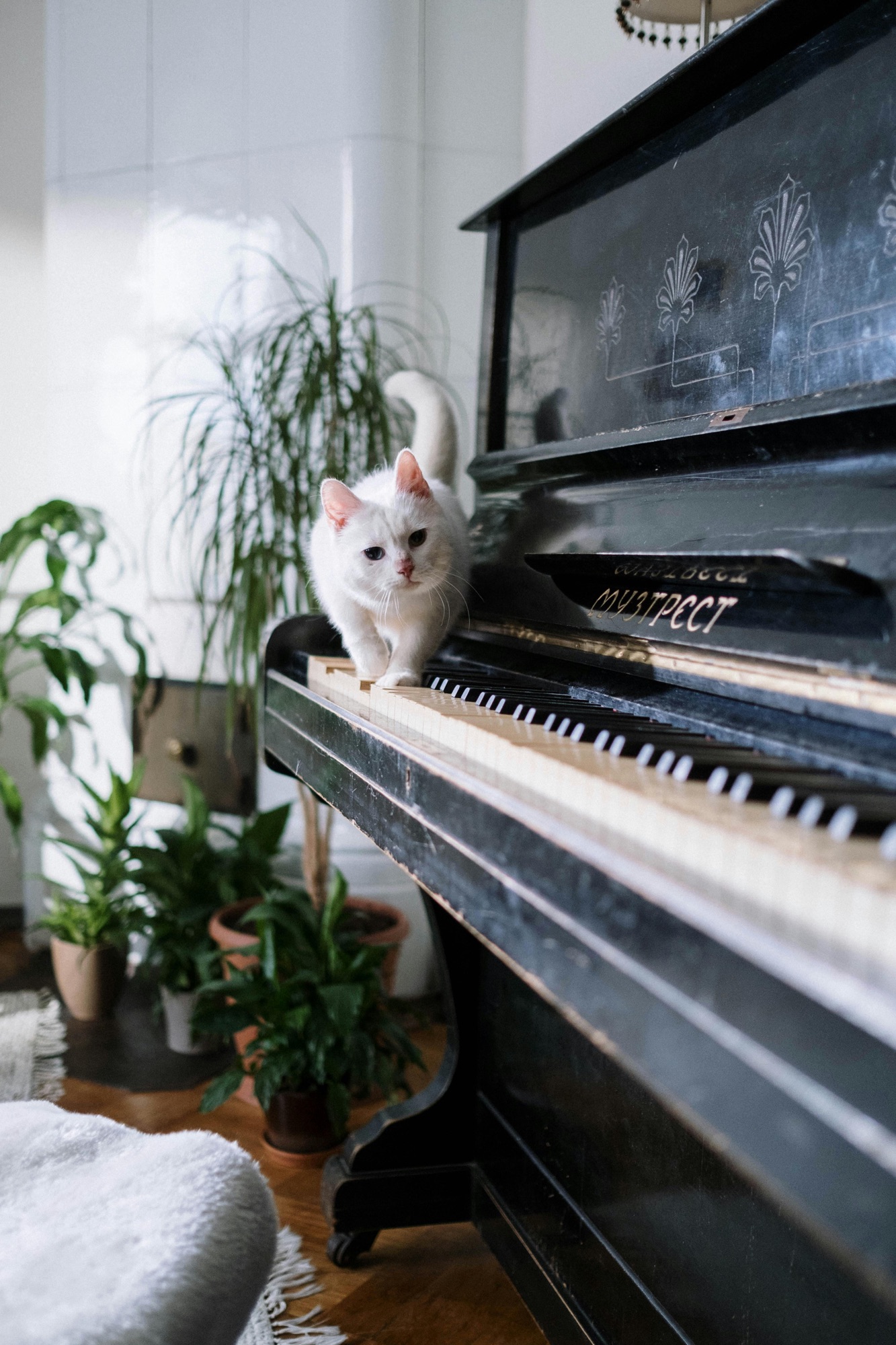 Repurpose and Revive: Creative Ways to Recycle a Piano